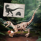 Rolife Velociraptor