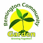 Build & Bloom Workshop with Remington Community Garden