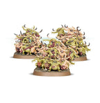 Spearhead: Maggotkin of Nurgle – Bubonic Cell