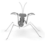 PRAYING MANTIS