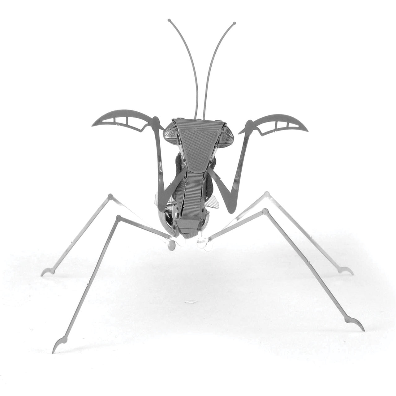 PRAYING MANTIS