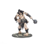 AGE OF SIGMAR: BRAWLERS OF BEHEMAT (ENG)