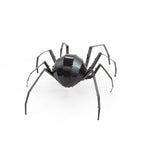 BLACK WIDOW SPIDER