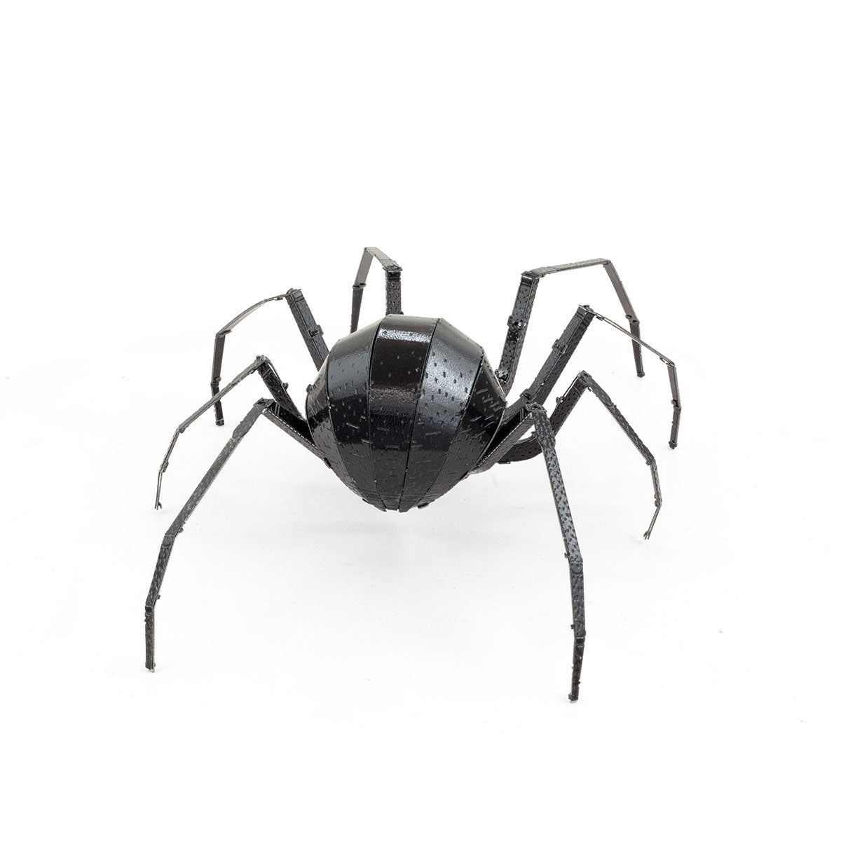 BLACK WIDOW SPIDER