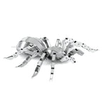 Tarantula Spider