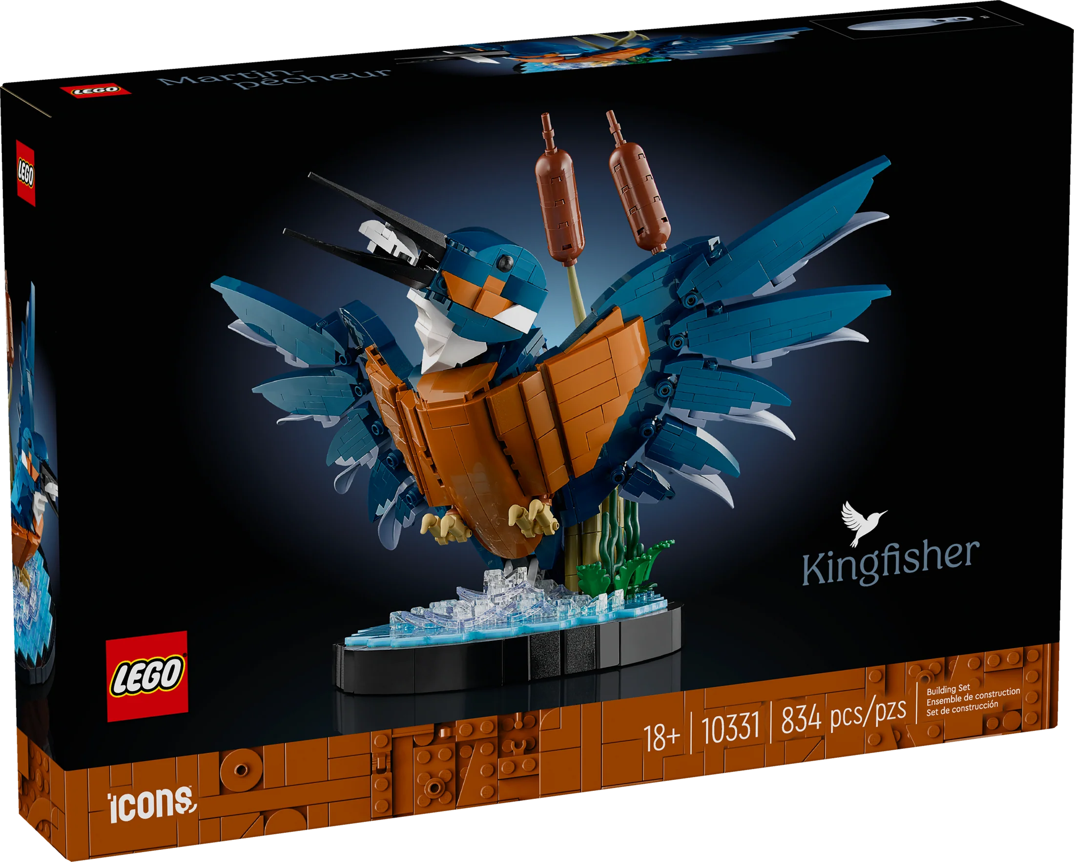 10331 Kingfisher Bird