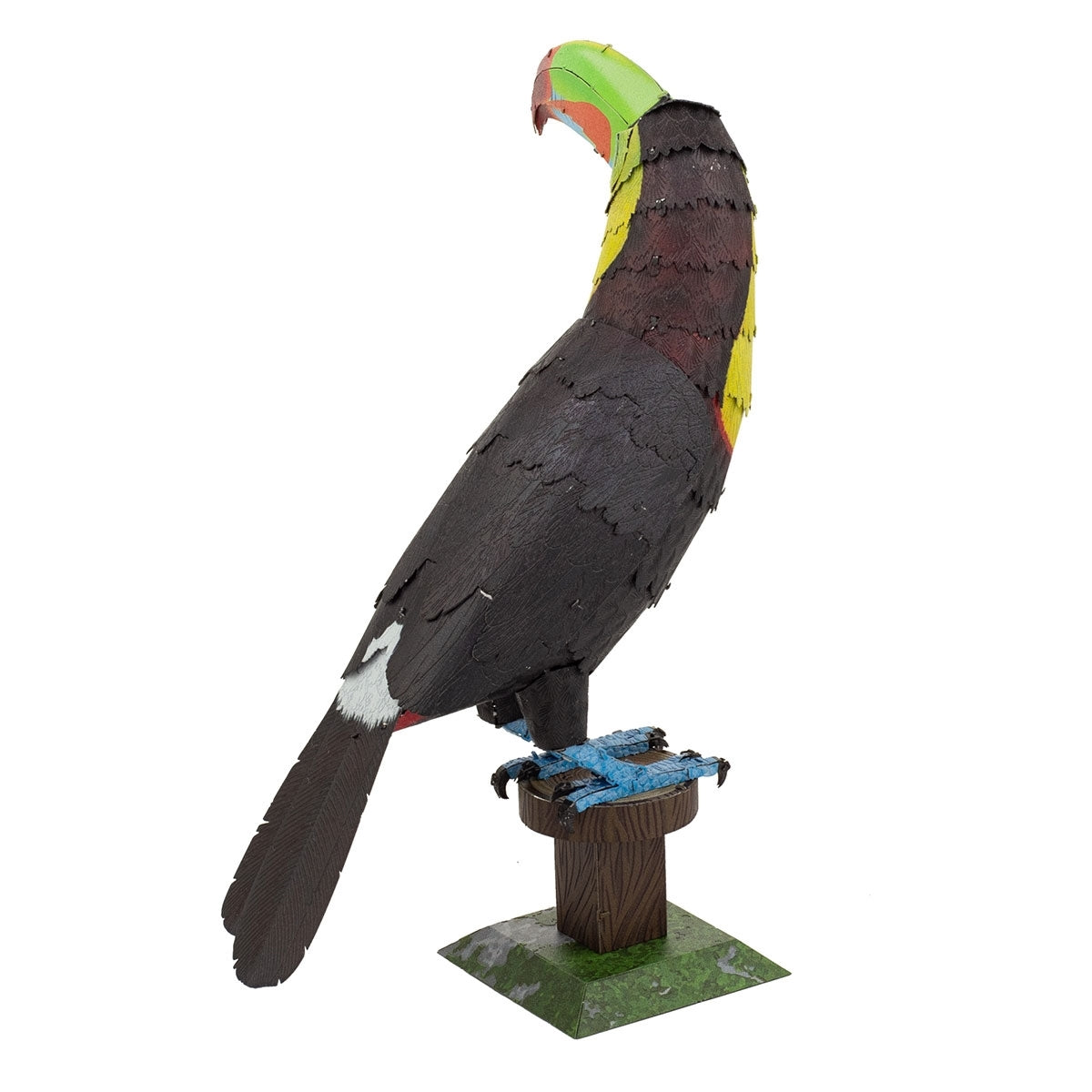 KEEL-BILLED TOUCAN
