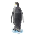 EMPEROR PENGUIN