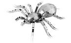 Tarantula Spider