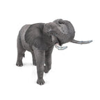 AFRICAN ELEPHANT