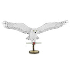 Hedwig™