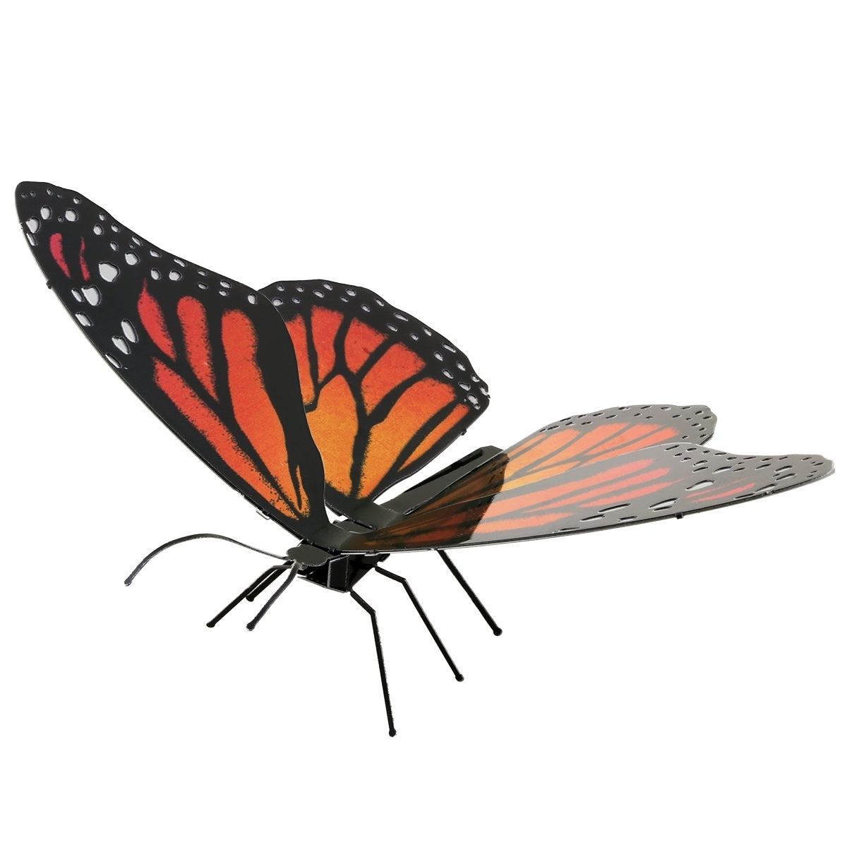 Monarch-Butterfly - COLOR