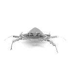 STAG BEETLE