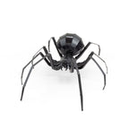 BLACK WIDOW SPIDER