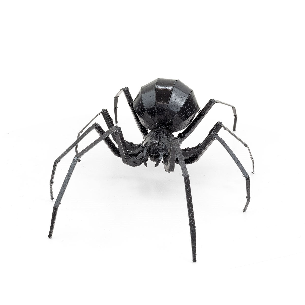 BLACK WIDOW SPIDER