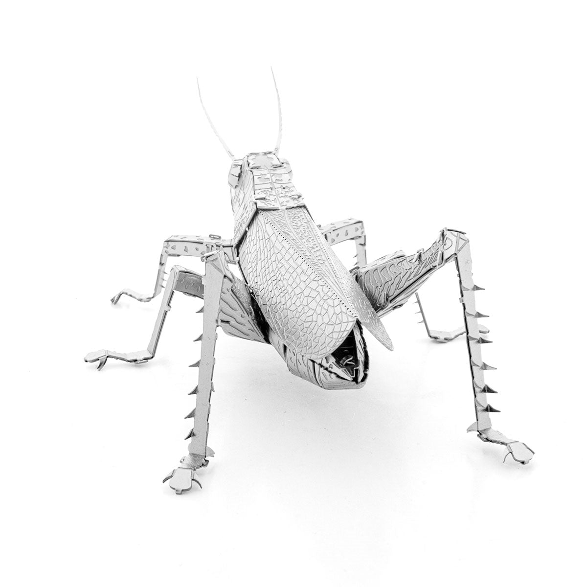 GRASSHOPPER