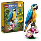 31136 Exotic Parrot