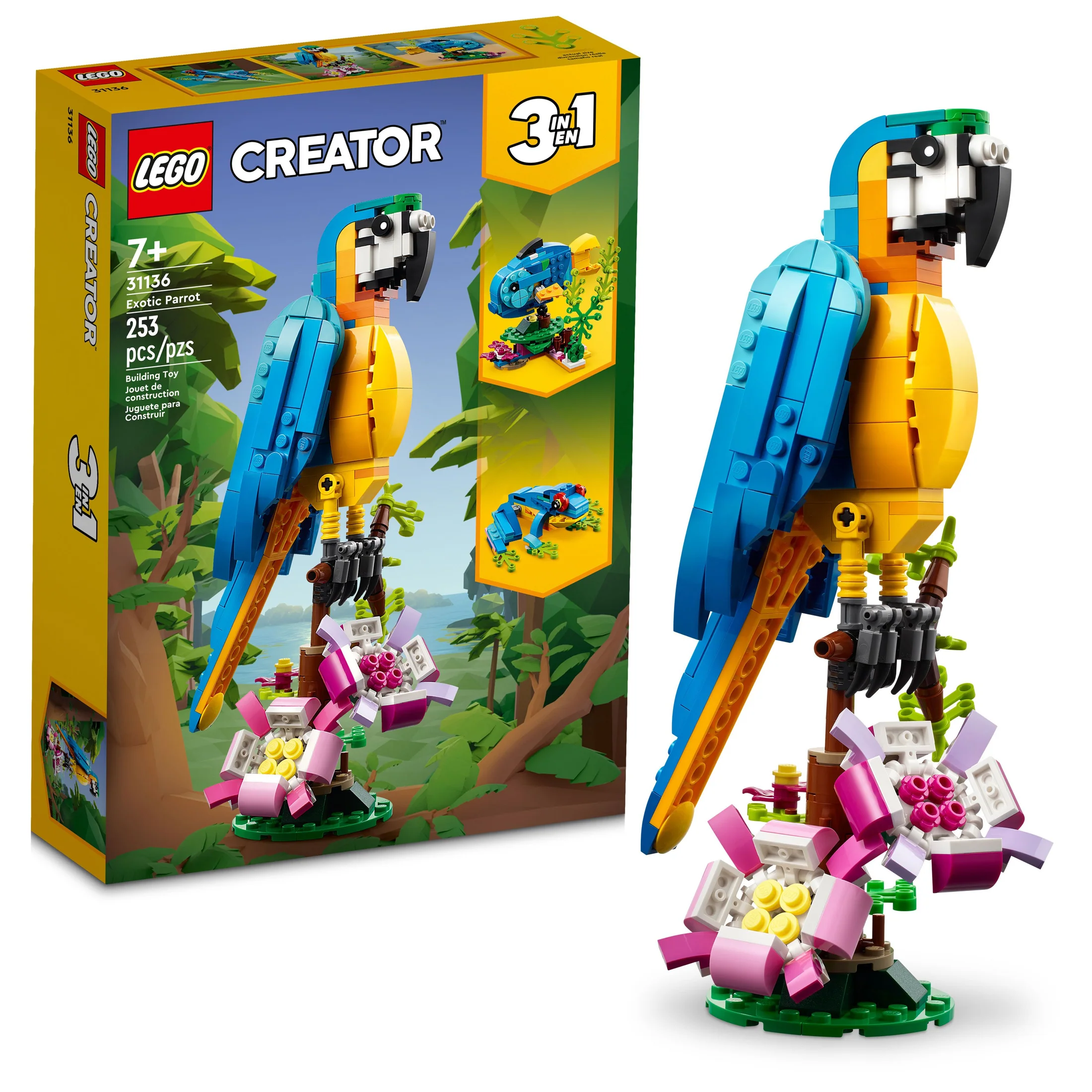 31136 Exotic Parrot