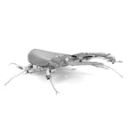 STAG BEETLE