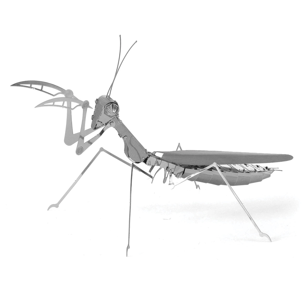 PRAYING MANTIS