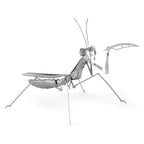 PRAYING MANTIS