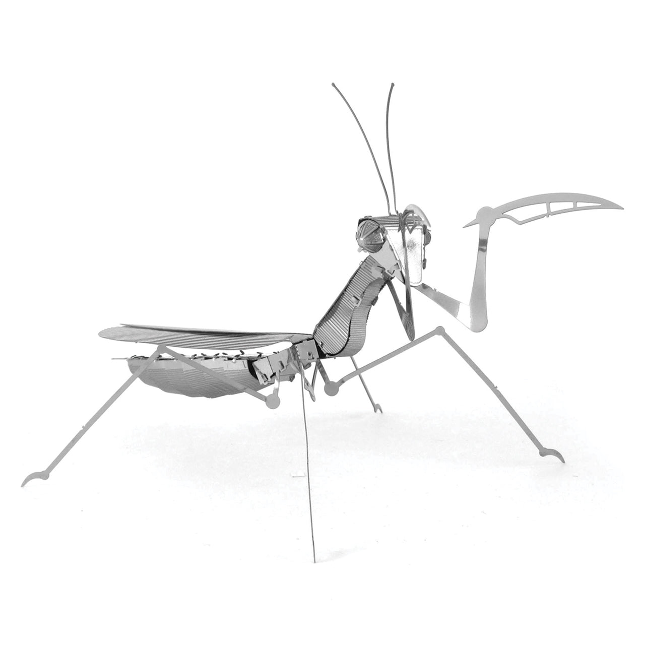 PRAYING MANTIS