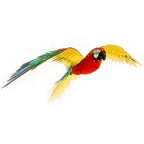 PREMIUM SERIES PARROT