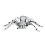 Tarantula Spider