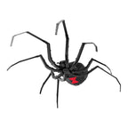 BLACK WIDOW SPIDER