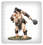 AGE OF SIGMAR: BRAWLERS OF BEHEMAT (ENG)