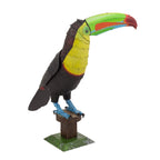KEEL-BILLED TOUCAN