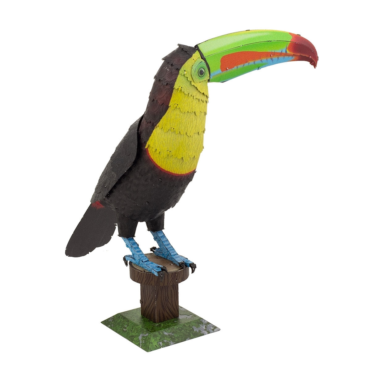 KEEL-BILLED TOUCAN