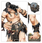 AGE OF SIGMAR: BRAWLERS OF BEHEMAT (ENG)