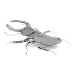 STAG BEETLE