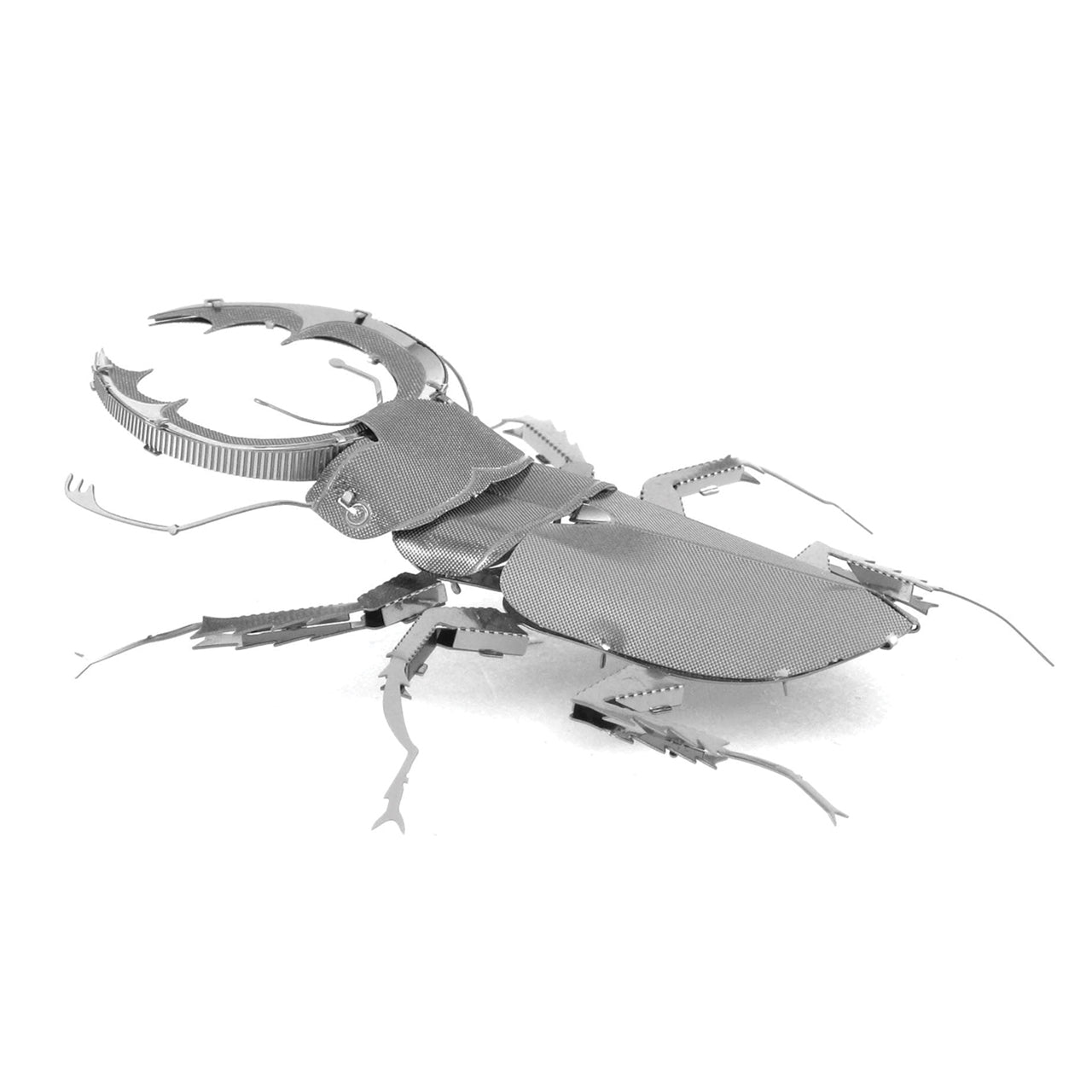 STAG BEETLE