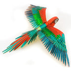 PREMIUM SERIES PARROT