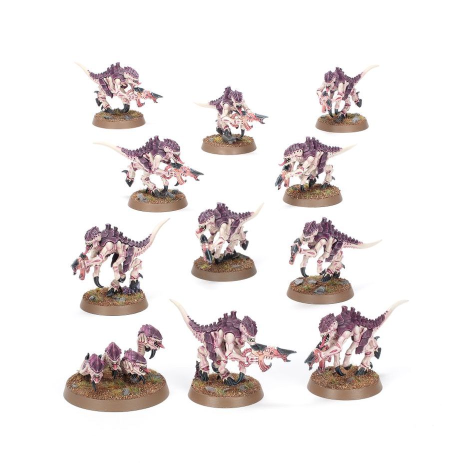 WARHAMMER 40000: INTRODUCTORY SET