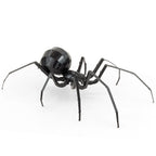 BLACK WIDOW SPIDER