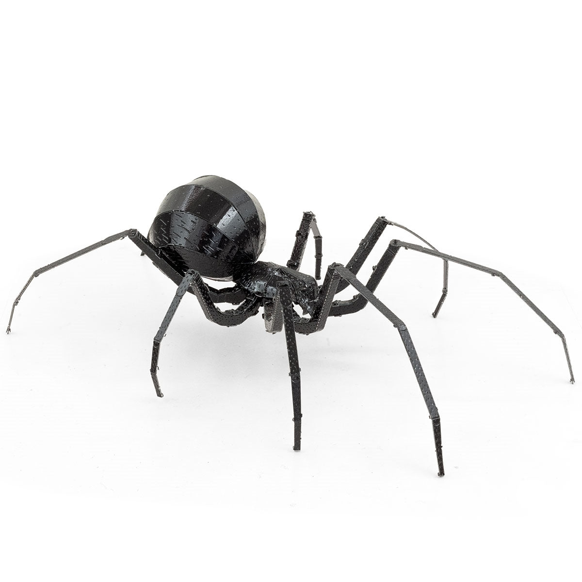 BLACK WIDOW SPIDER