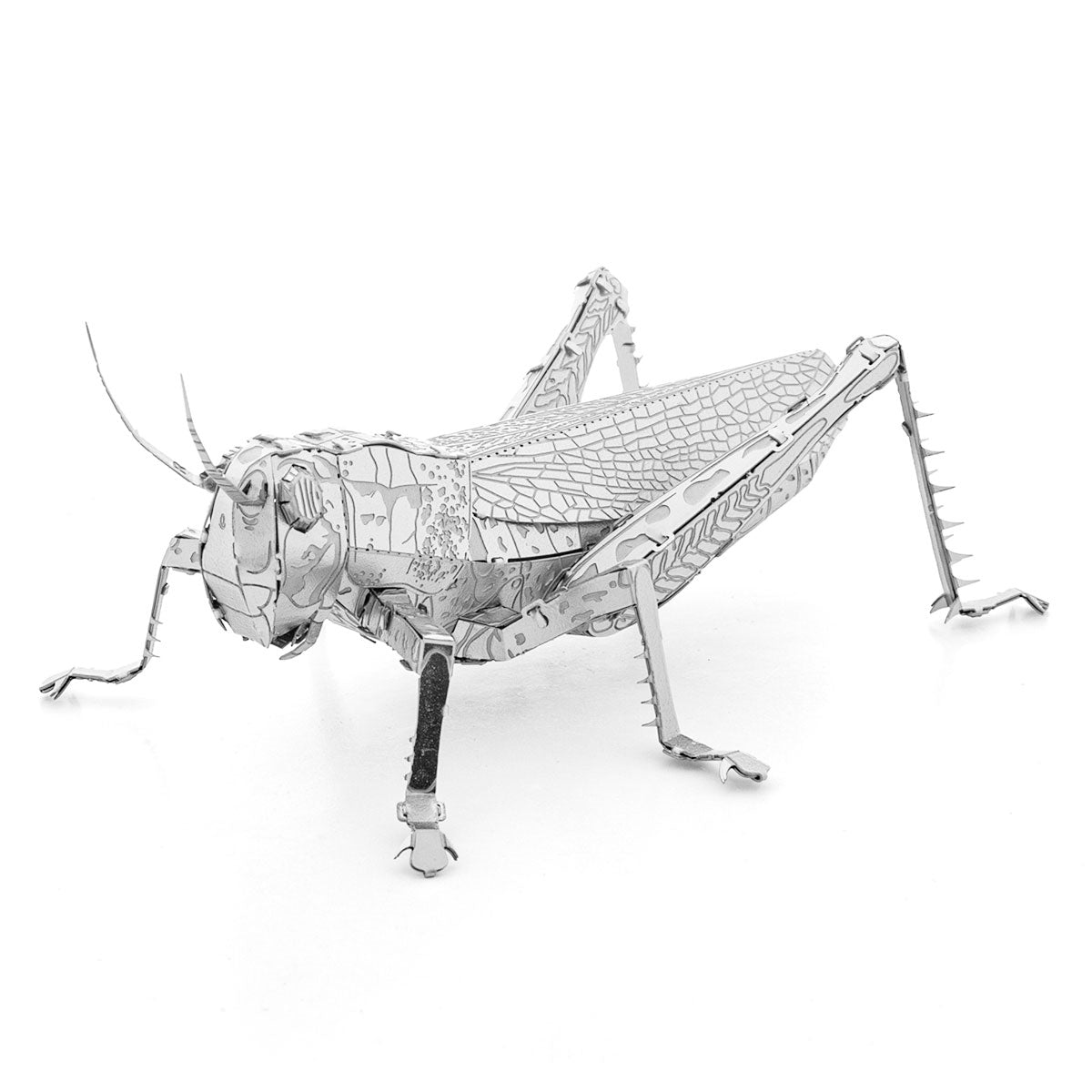 GRASSHOPPER