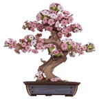 Sakura Bonsai