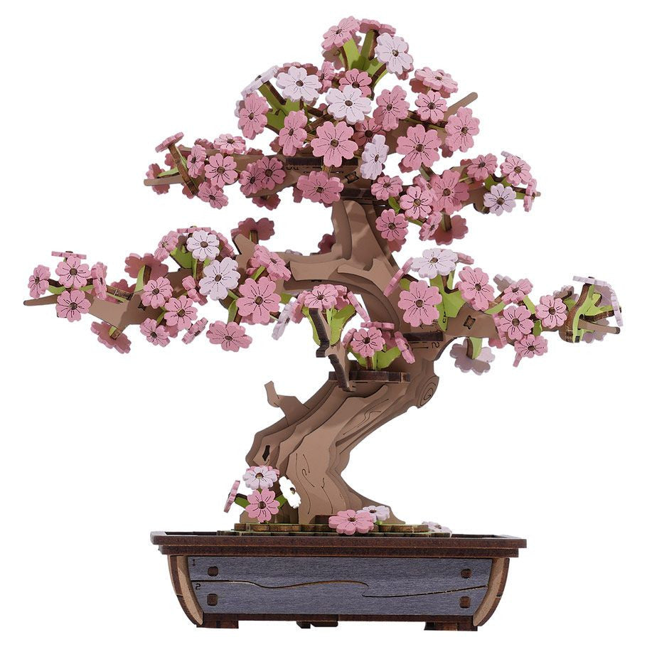 Sakura Bonsai