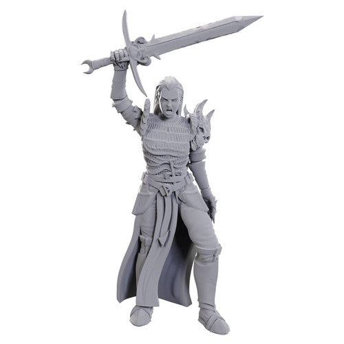 D&D Nolzur's Marvelous Miniatures: Unpainted Minis- Wave 25- Blackguard