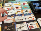 Sharks & Reefs Expansion