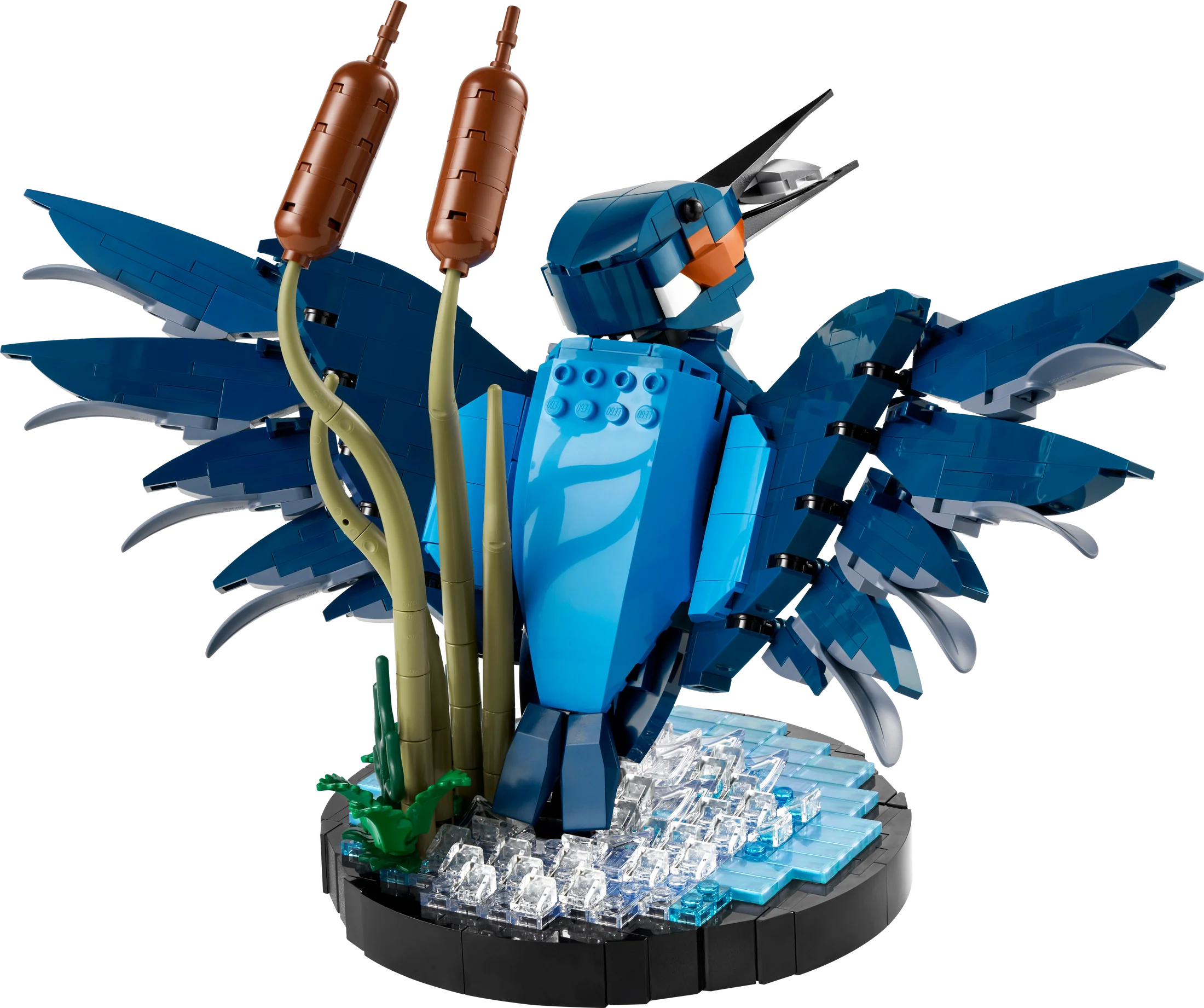 10331 Kingfisher Bird