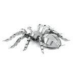 Tarantula Spider