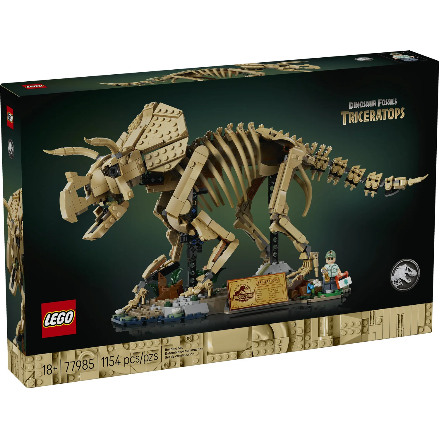 77985 Dinosaur Fossils: Triceratops