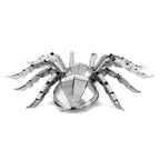 Tarantula Spider