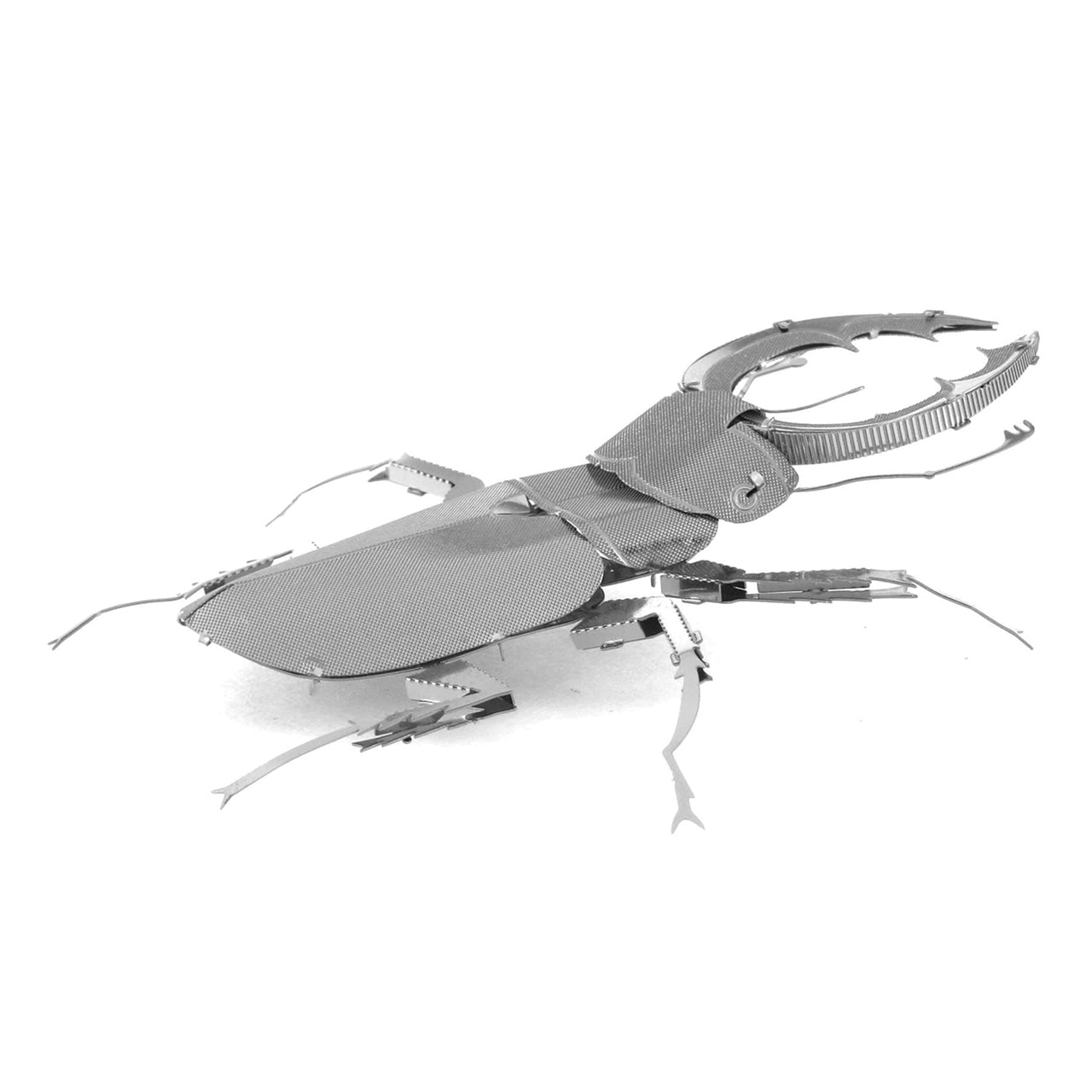 STAG BEETLE