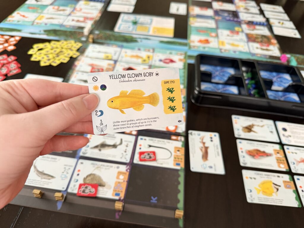 Sharks & Reefs Expansion